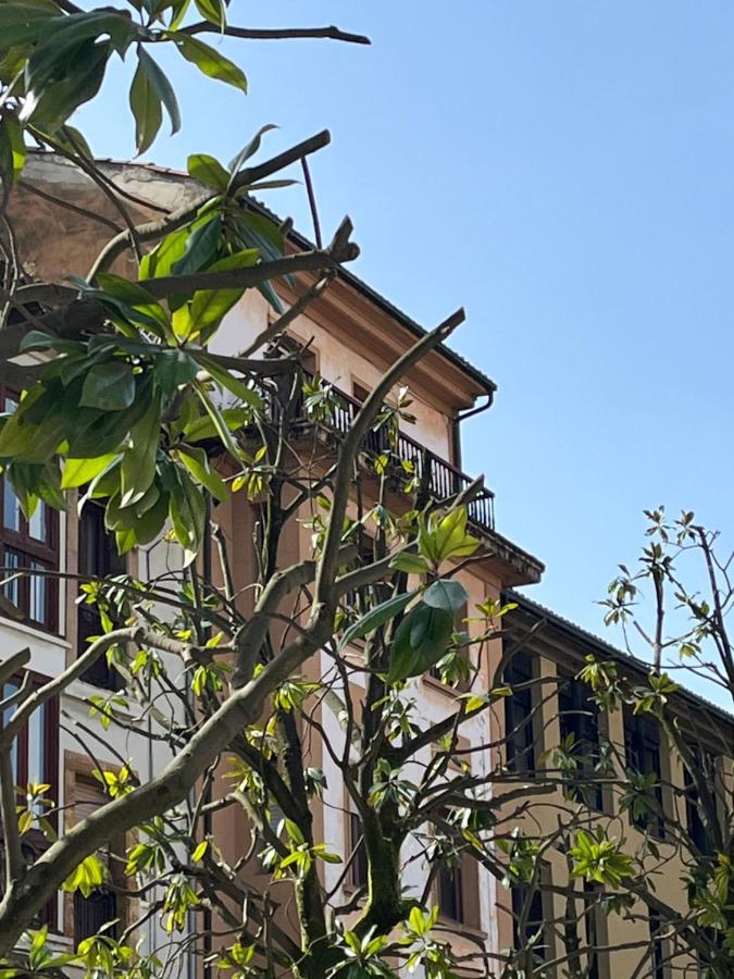 Apartamento Wamba - La Catedral Oviedo Luaran gambar